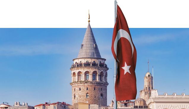 Istanbul Shuttle Here | Affordable, Reliable and Professional Airport Transfer